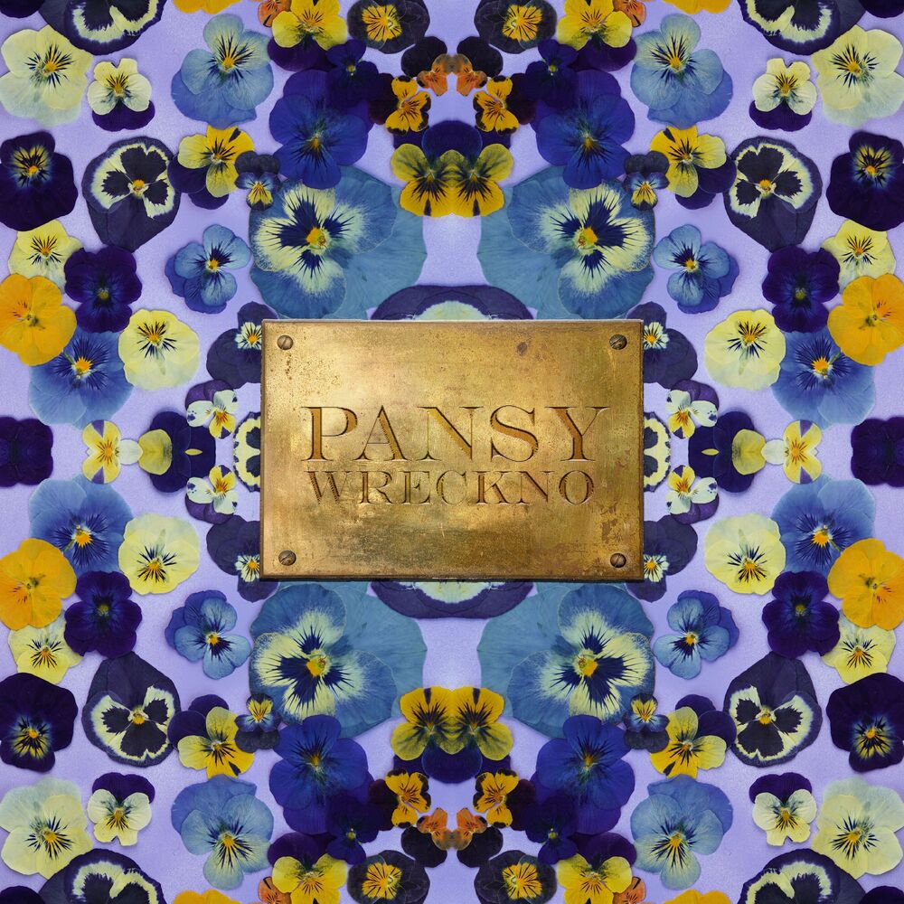 Picture of PANSY