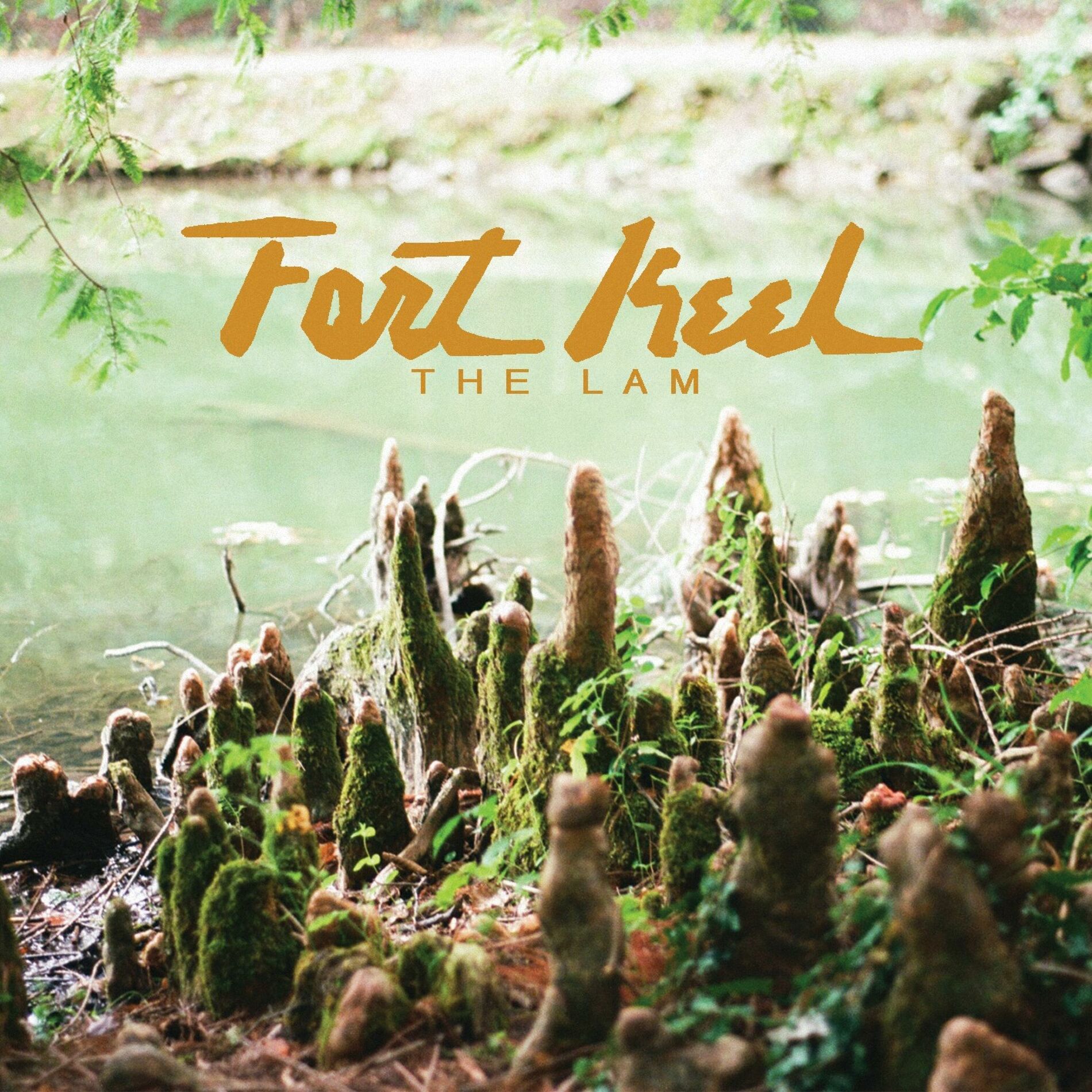Album cover of The Lam