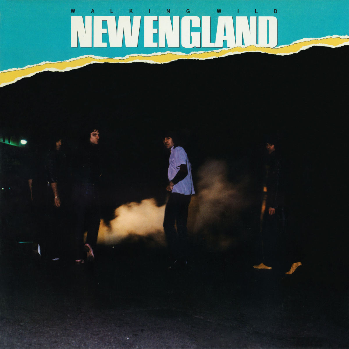 Album cover of Walking Wild