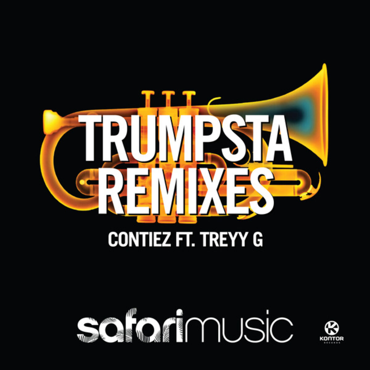 Album cover of Trumpsta (Djuro Remix)