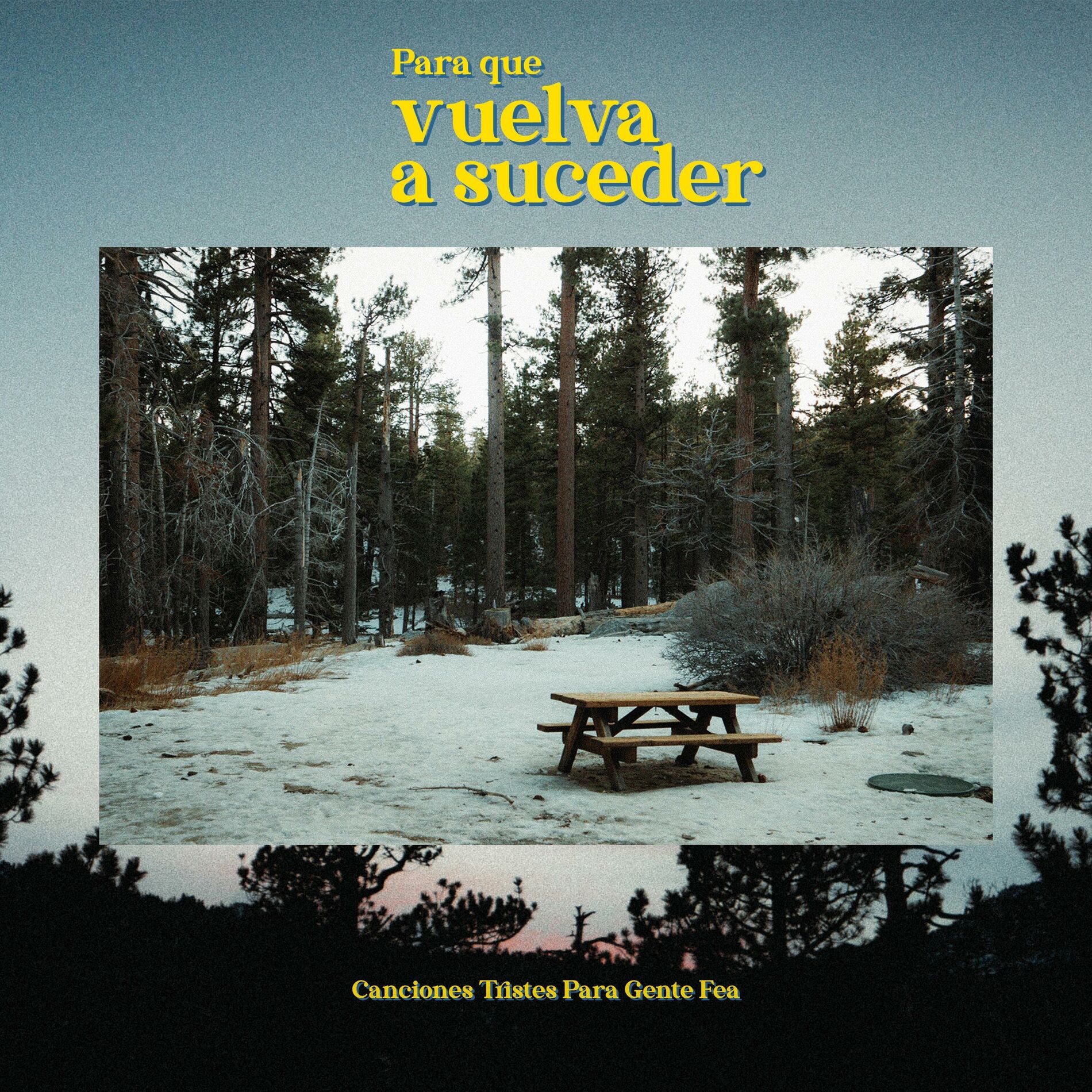 Album cover of Para Que Vuelva a Suceder