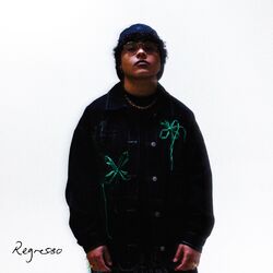 Cover of Regresso
