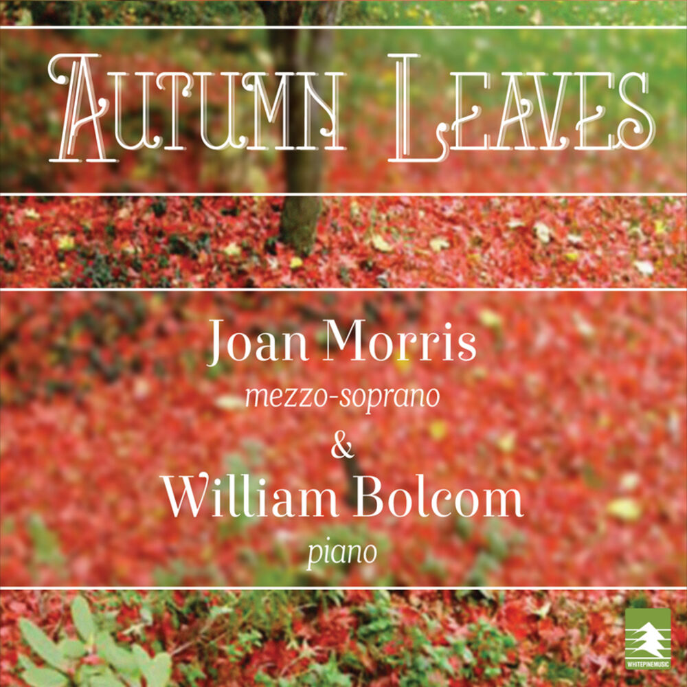 Picture of Autumn Leaves