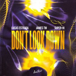 Cover of Don't Look Down