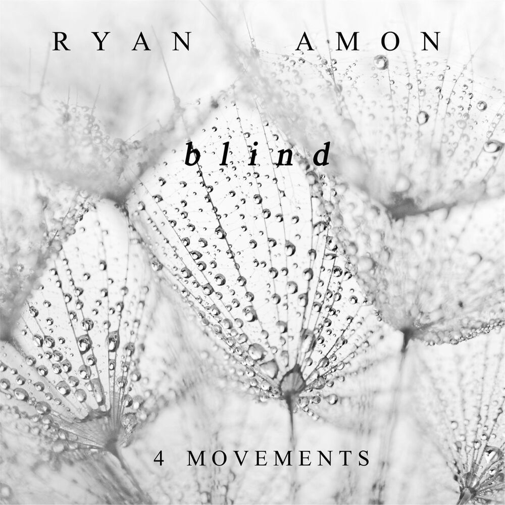 Picture of Blind