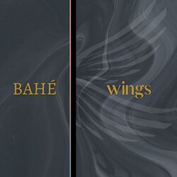 Cover of Wings