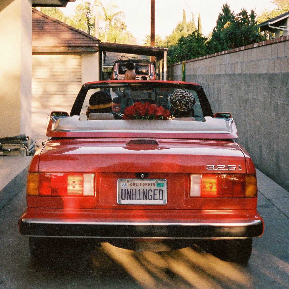 Album cover of Unhinged