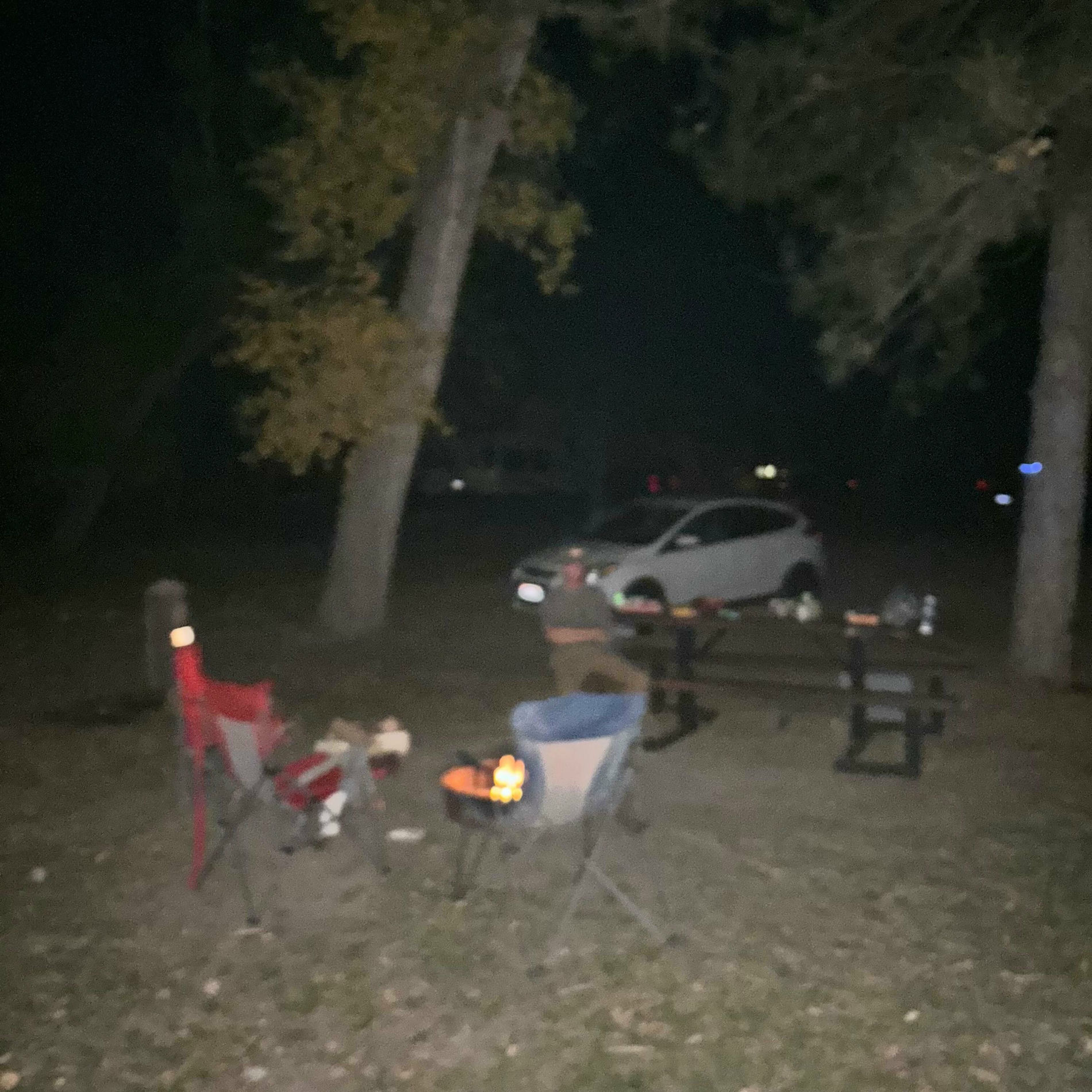 Album cover of all for you (feat. Harley)
