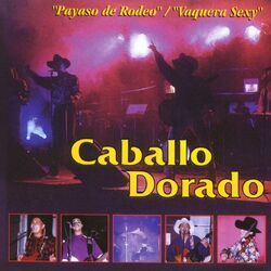 Cover of Payaso de rodeo