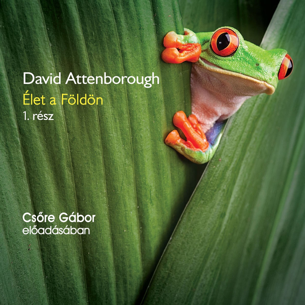 Album cover of Élet a Földön - 1. rész (teljes)