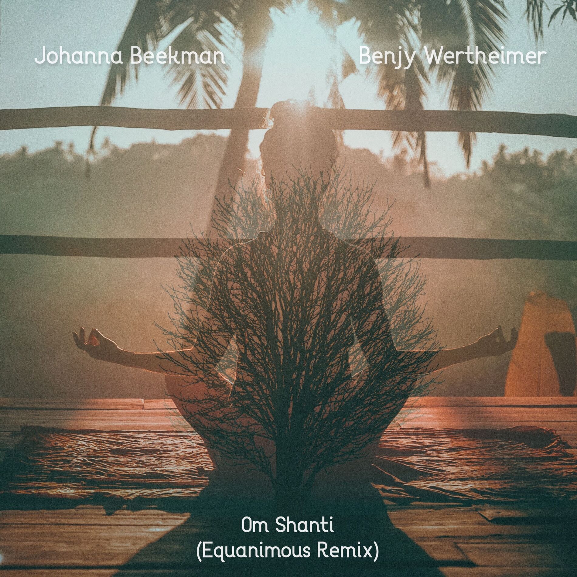Album cover of Om Shanti (Equanimous Remix)
