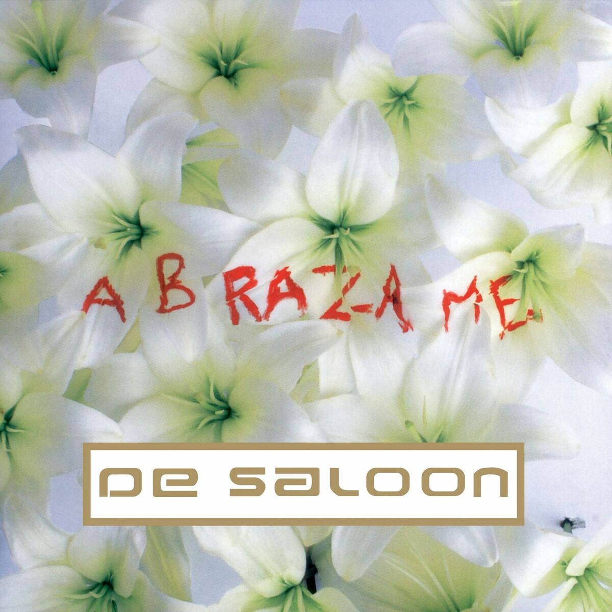 Album cover of Abrázame