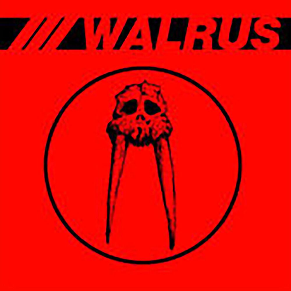 Picture of Walrus