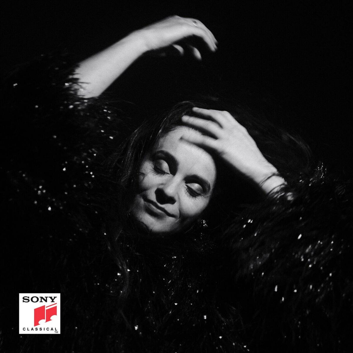 Album cover of La dame brune