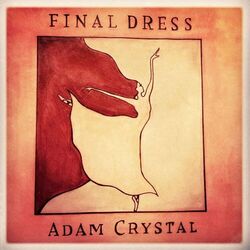 Cover of Final Dress