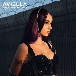 Cover of Forget That I'm Lonely