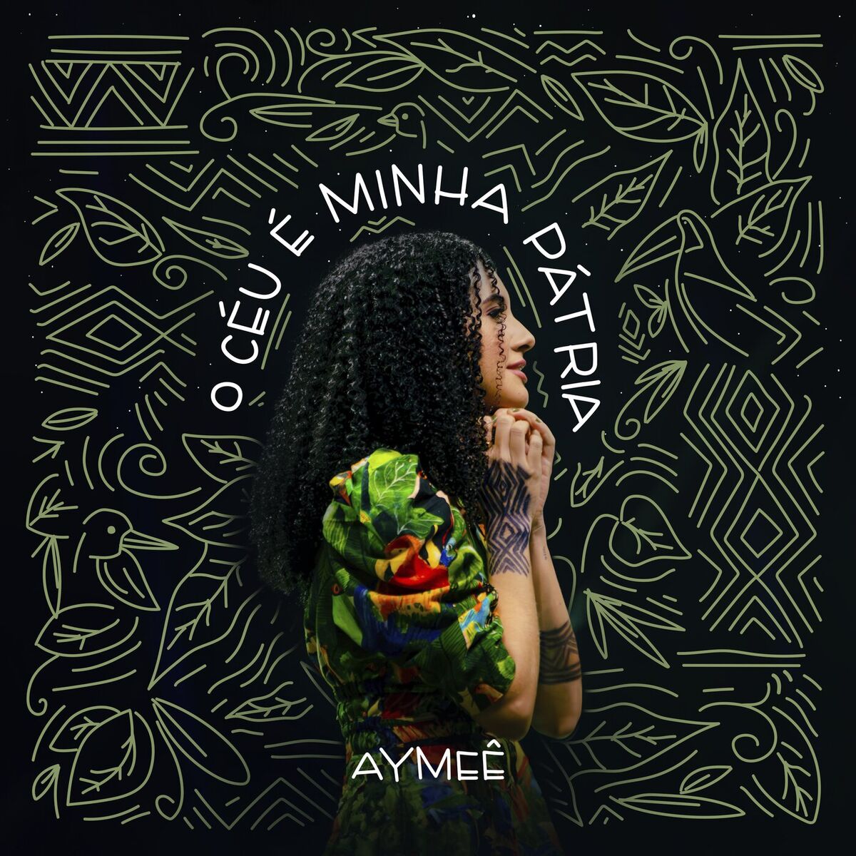 Album cover of O Céu É Minha Pátria