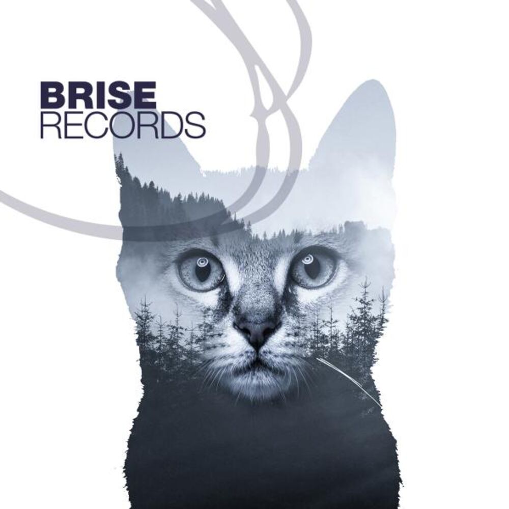 Picture of Boss Knows Why E.P.