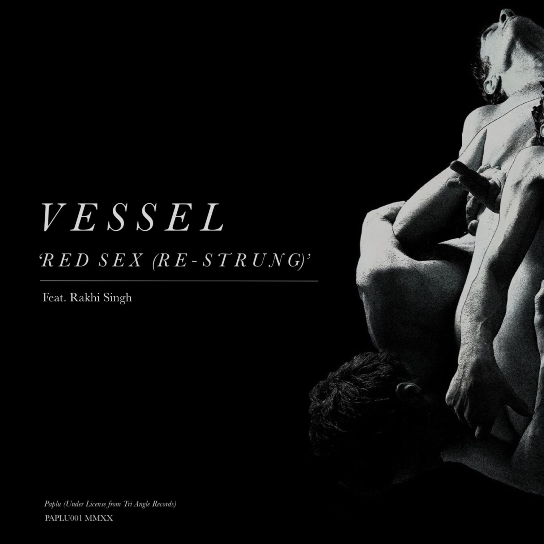 Album cover of Red Sex (Re-Strung) [feat. Rakhi Singh]