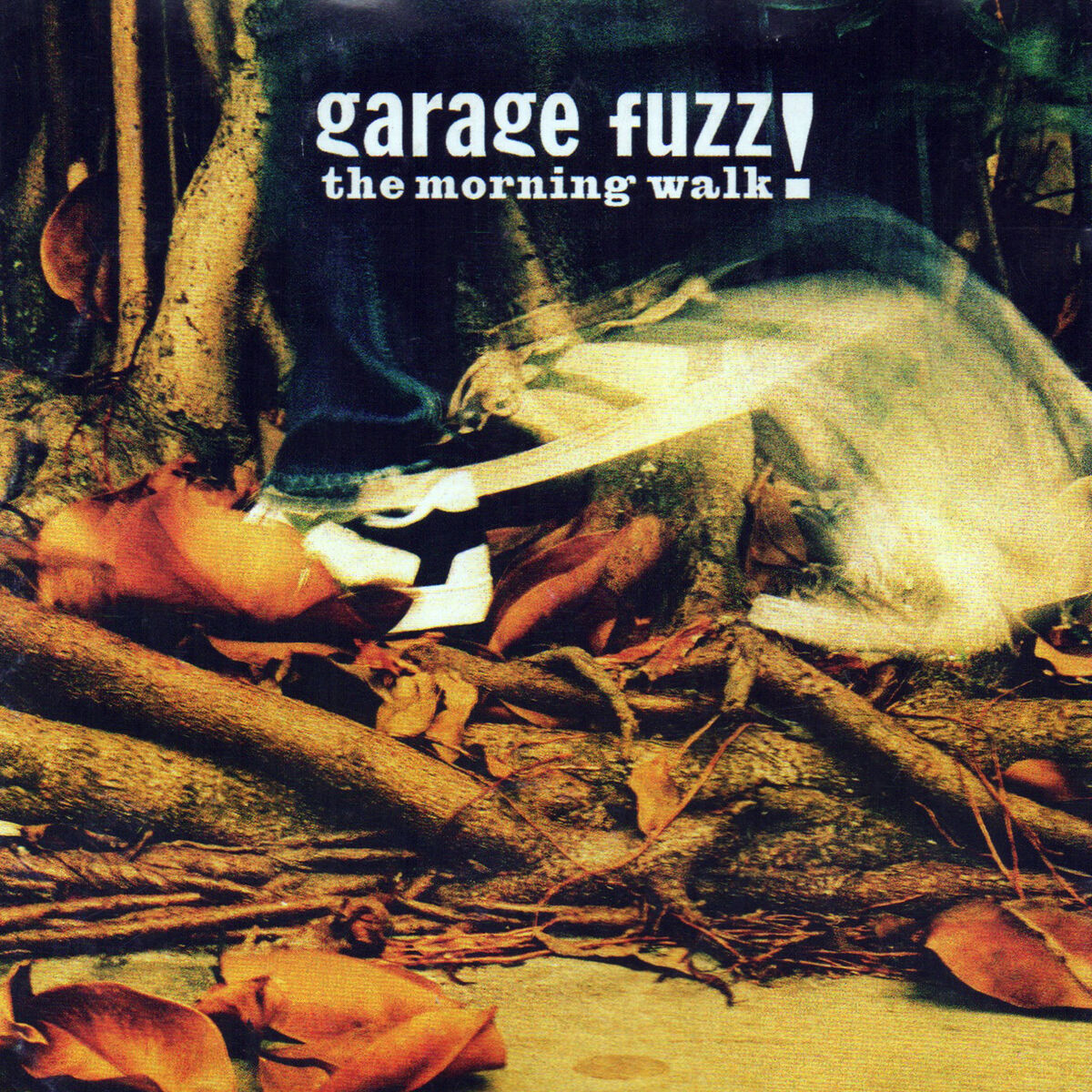 Album cover of The Morning Walk