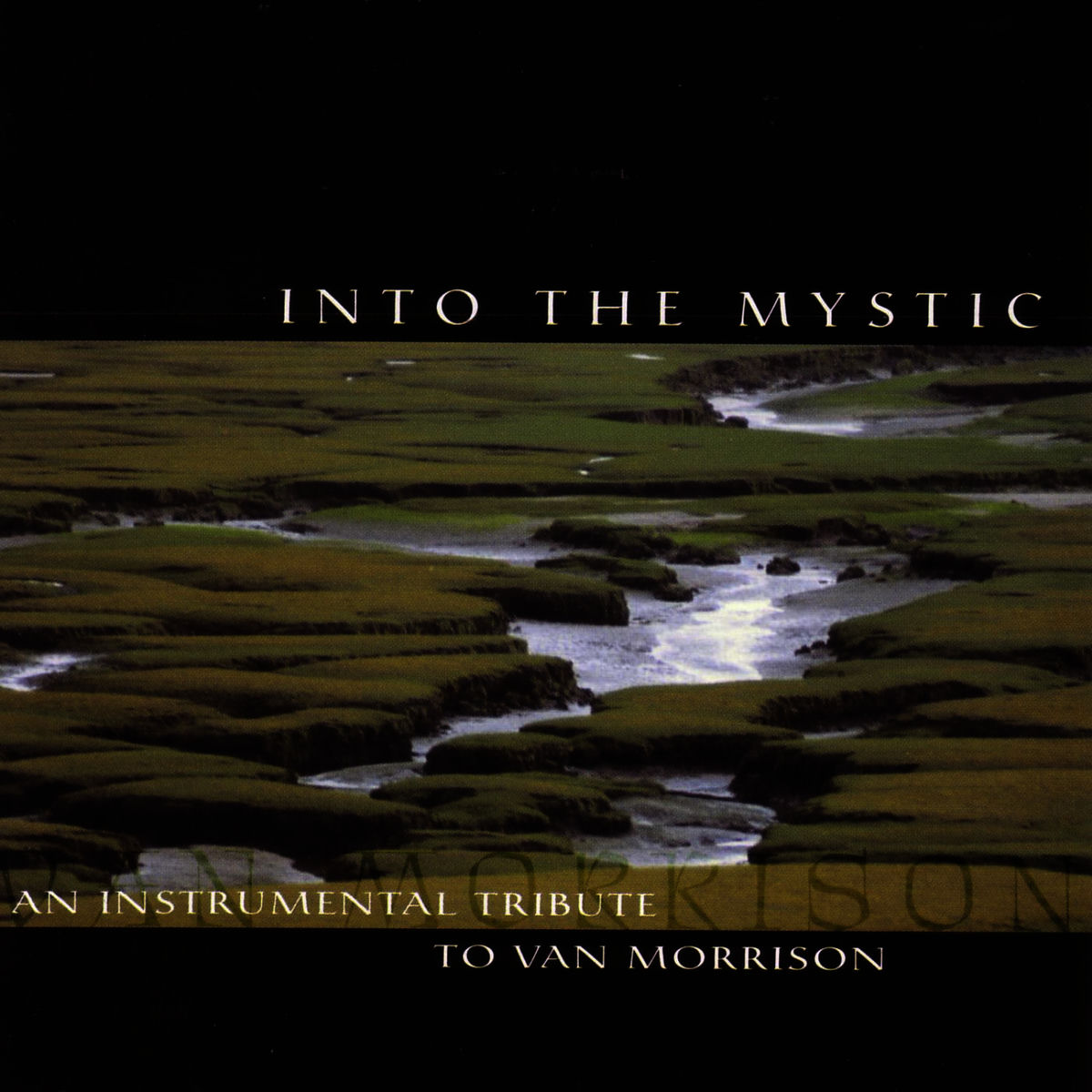 Album cover of Into The Mystic: An Instrumental Tribute To Van Morrison
