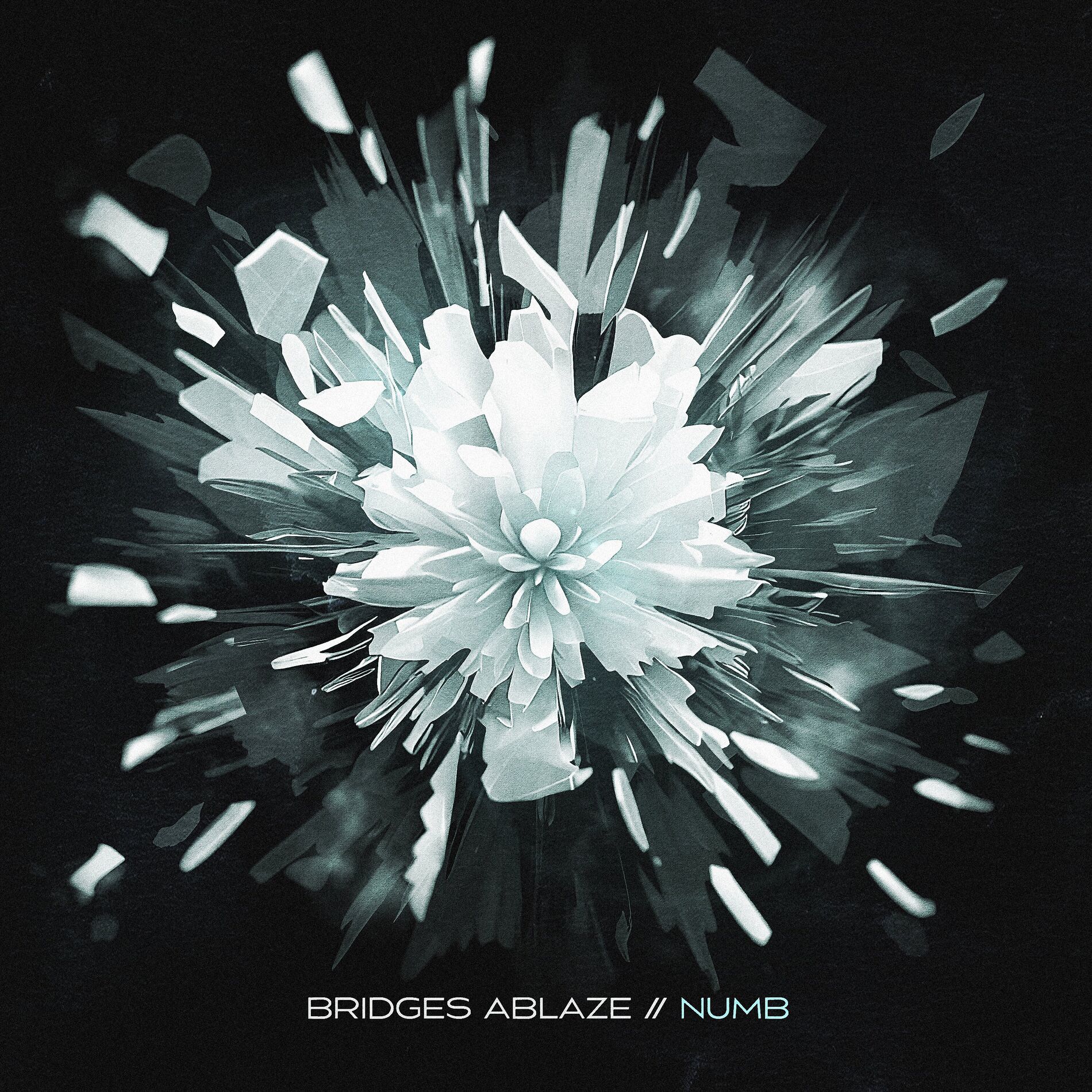 Album cover of Numb