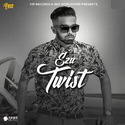Cover of Twist