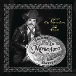 Cover of 20 Exitos