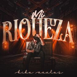 Cover of Mi Riqueza