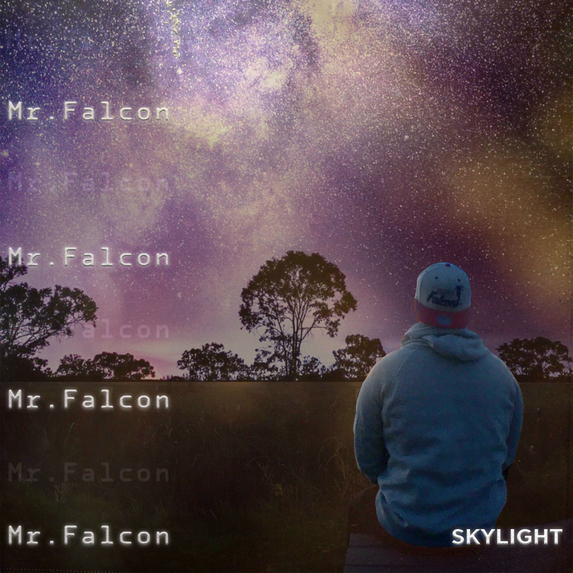 Album cover of Skylight