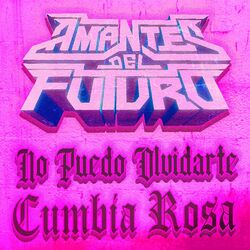 Cover of No Puedo Olvidarte Cumbia Rosa