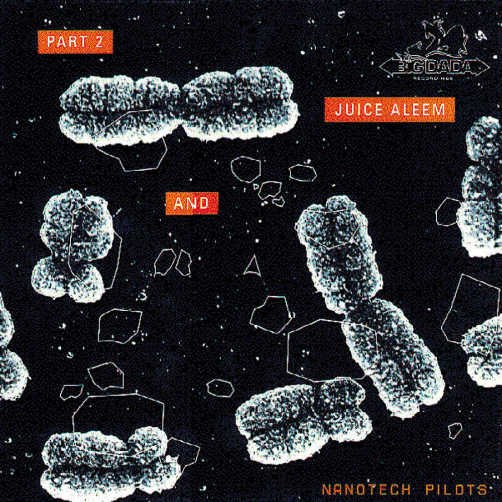 Picture of Nanotech Pilots