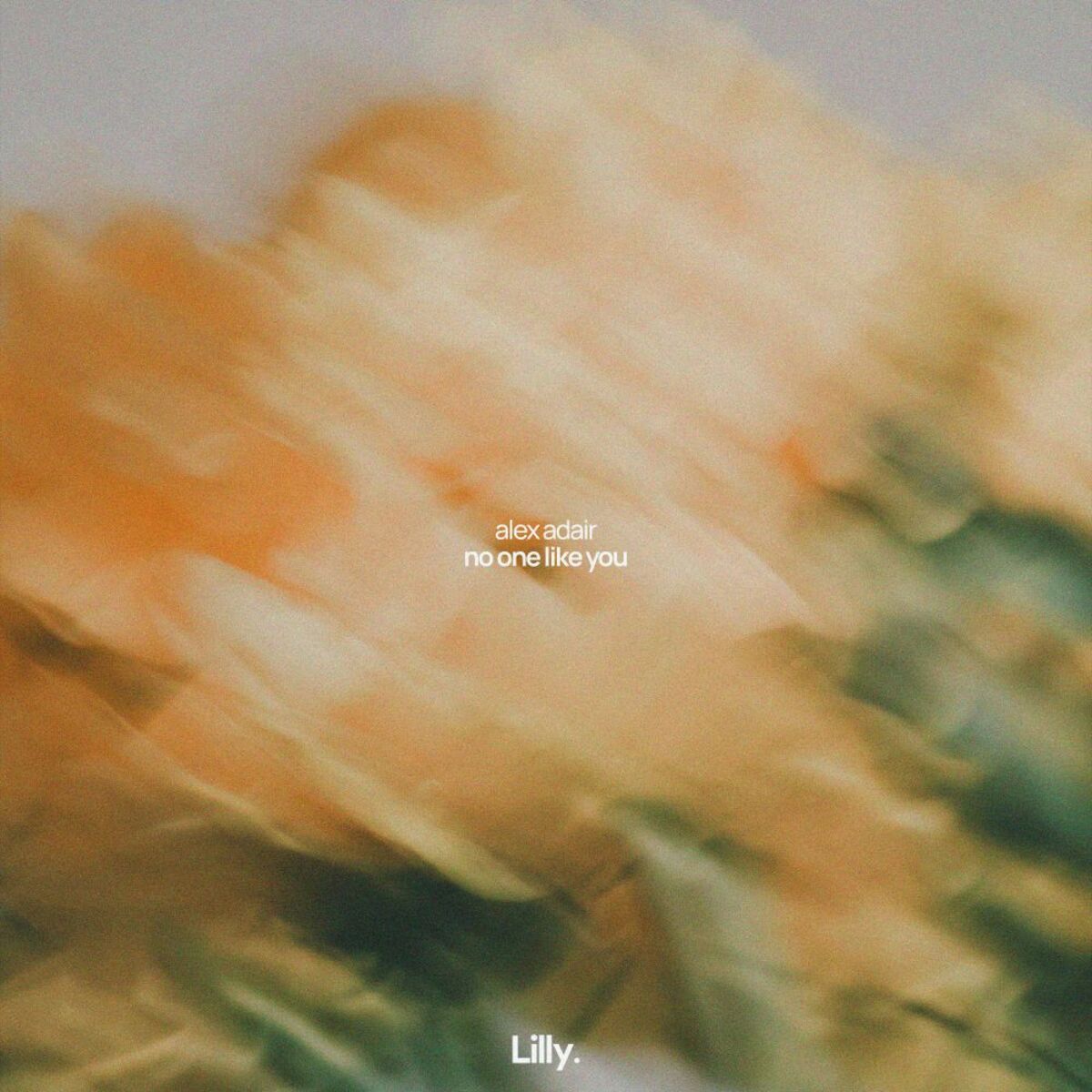 Album cover of No One Like You