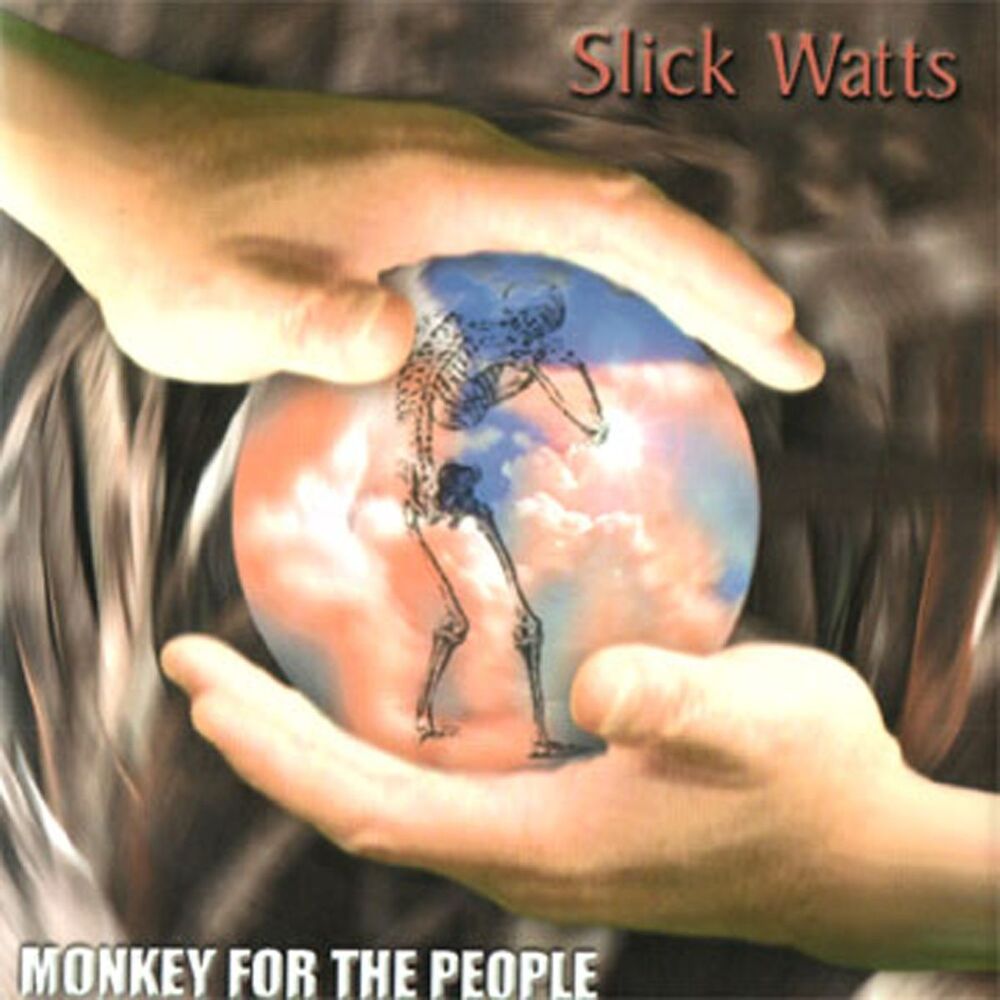 Picture of Monkey For The People