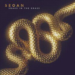 Cover of Snake in the Grass