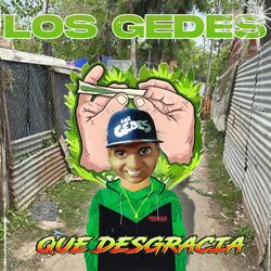 Cover of Que Desgracia