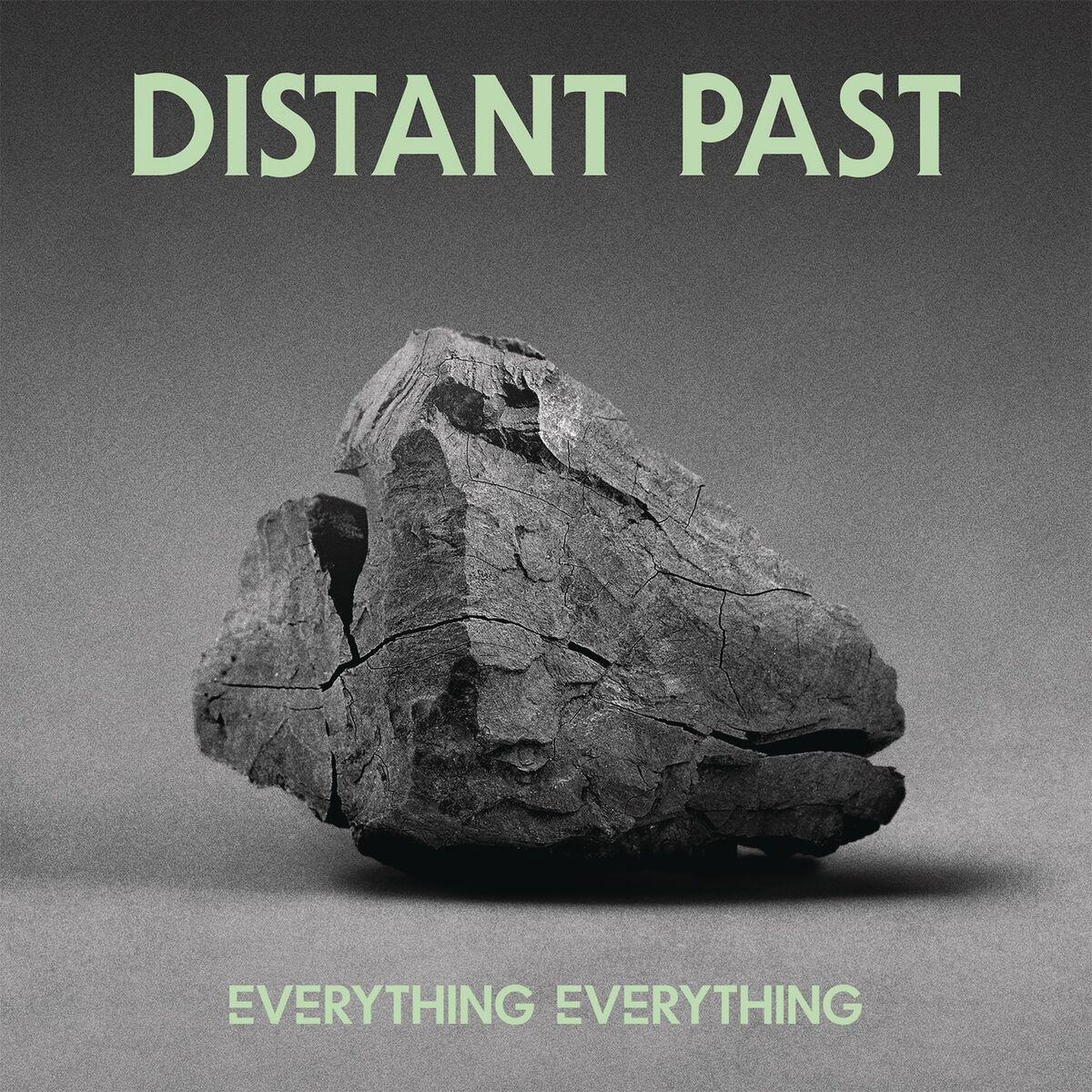 Album cover of Distant Past