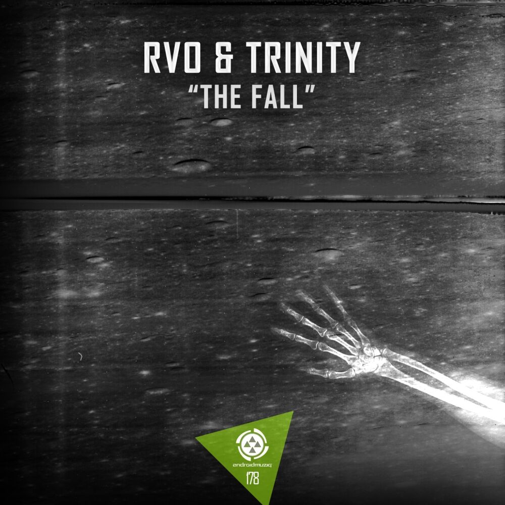 Picture of The Fall