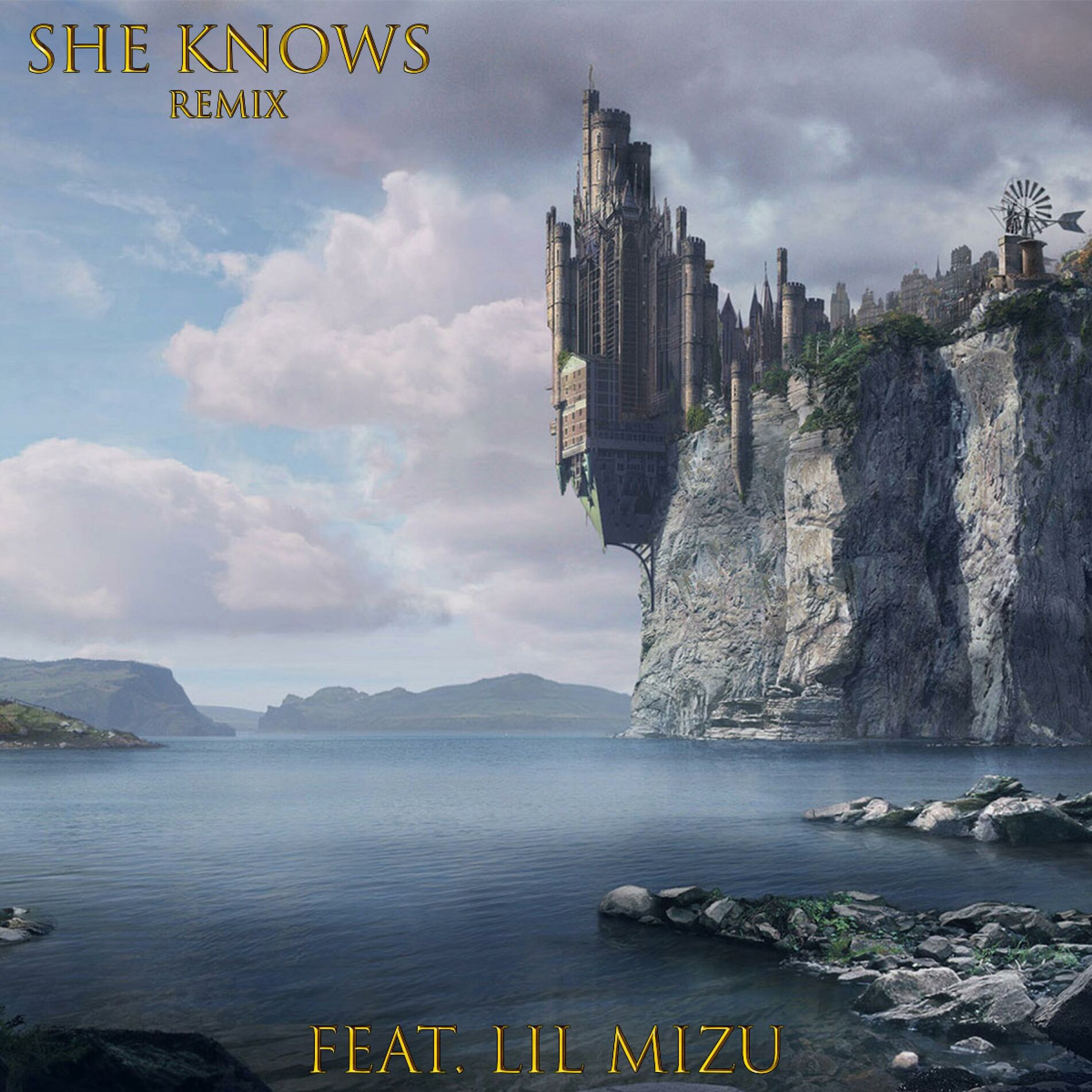 Album cover of She Knows (feat. Lil Mizu)