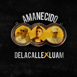 Cover of Amanecido