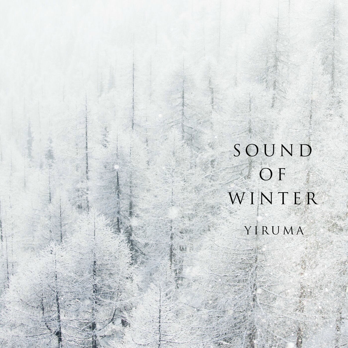 Album cover of Sound Of Winter