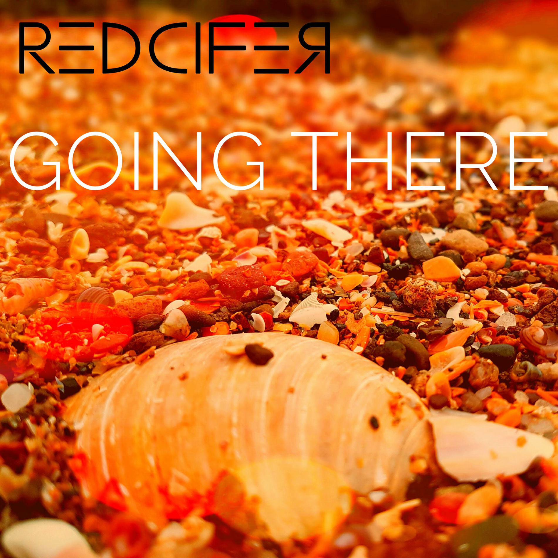 Album cover of Going There