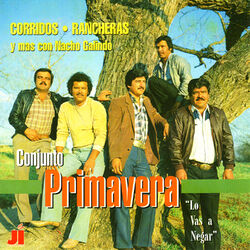 Cover of Lo Vas a Negar