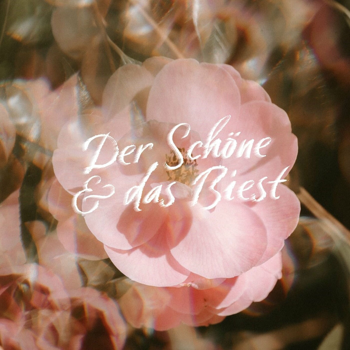 Album cover of Der Schöne und das Biest