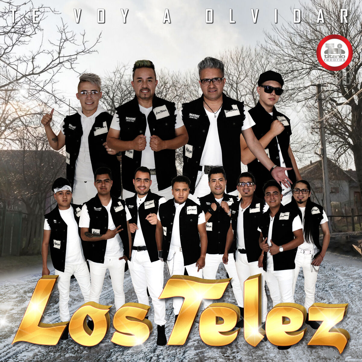 Album cover of Te Voy a Olvidar