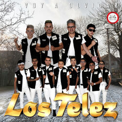 Cover of Te Voy a Olvidar