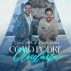 Cover of Como Podré Olvidarte?