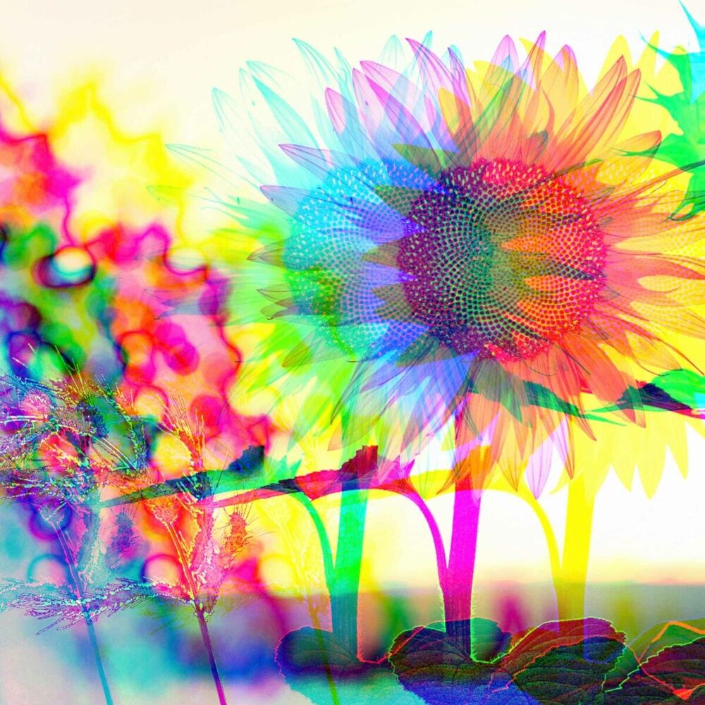 Picture of Bossa Nova Piano Duo - Background Music for Mindful Mornings