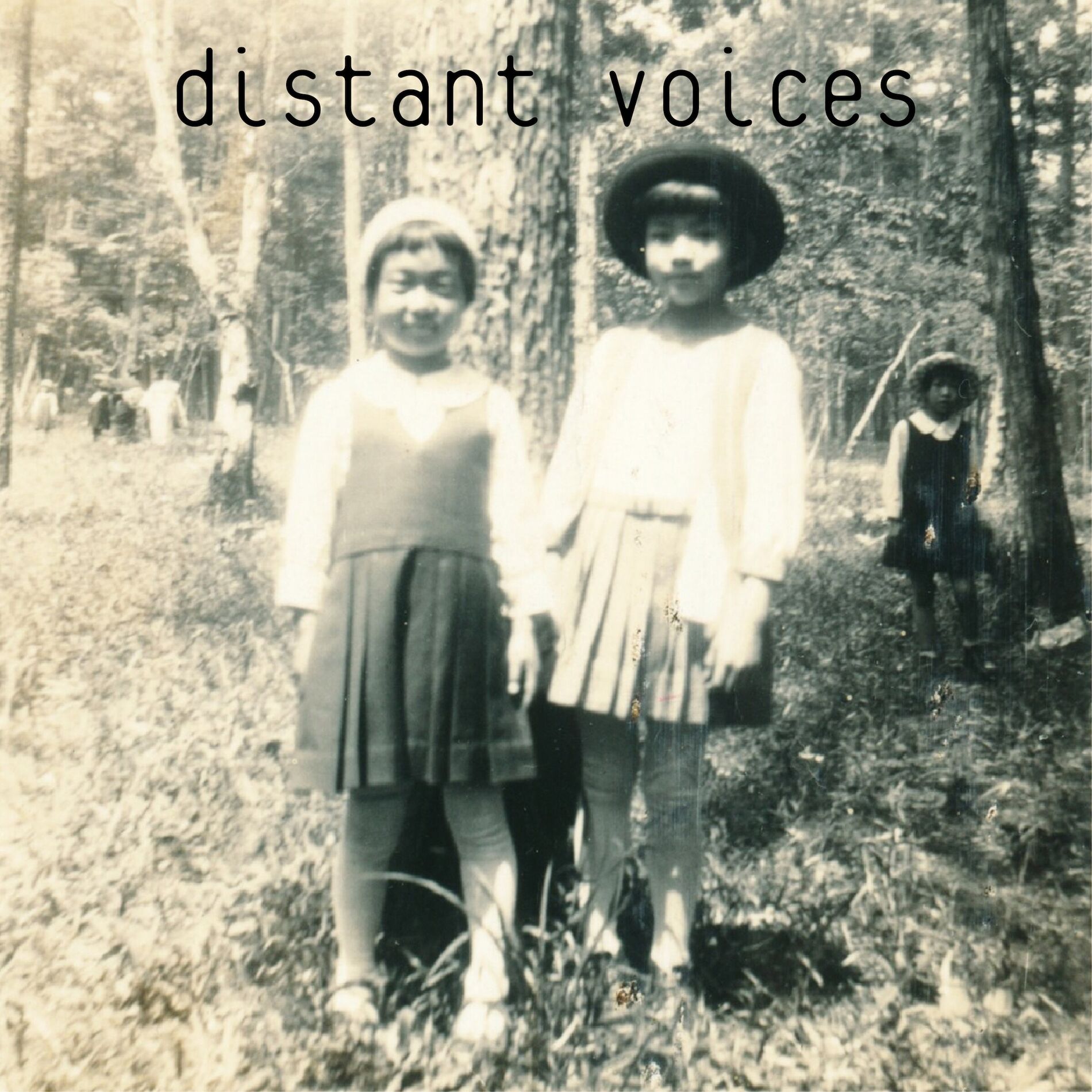 Album cover of distant voices