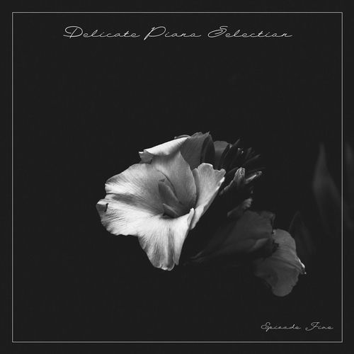 Delicate Piano Selection, Episode Five sleeve